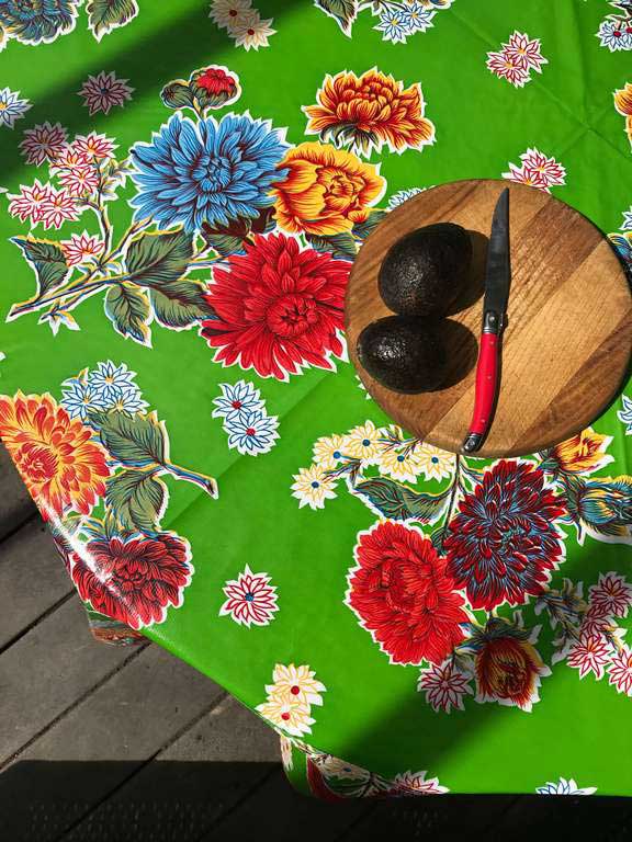 Tips and Tricks for Choosing Oilcloth Tablecloth with Mexican Design