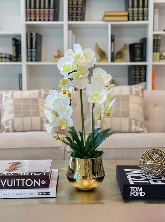 Best Options You Need to Know About Orchid Table Centerpiece